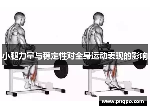 小腿力量与稳定性对全身运动表现的影响